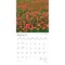Texas Nature | 2026 12 x 24 Inch (Hanging) Monthly Square Wall Calendar | Plastic-Free